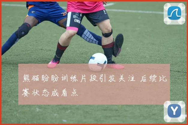 熊猫盼盼训练片段引发关注 后续比赛状态成看点